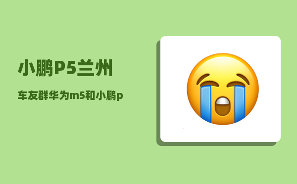 小鹏P5兰州车友群_华为m5和小鹏p5哪个值得买-图1