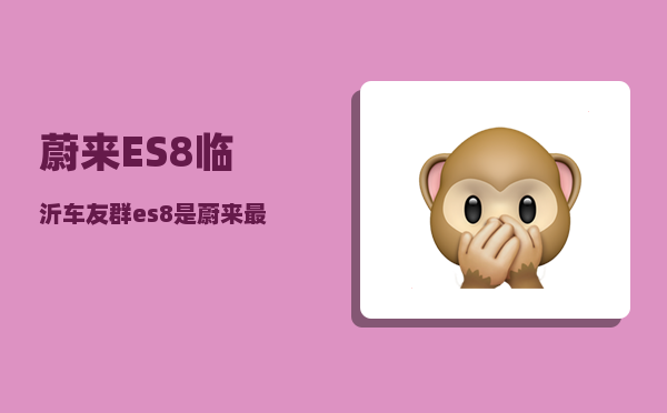 蔚来ES8临沂车友群_es8是蔚来较优的车吗-图1