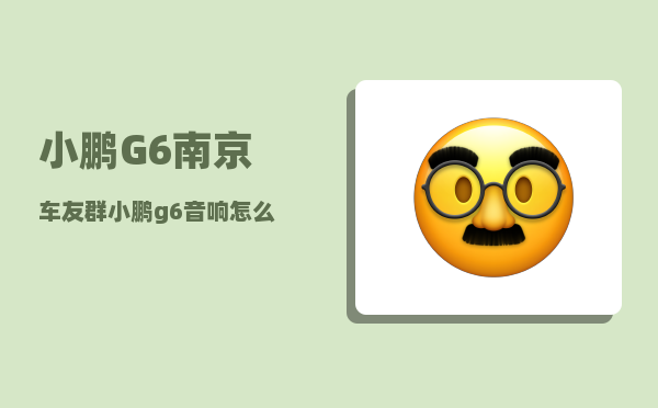 小鹏G6南京车友群_小鹏g6音响怎么调-图1