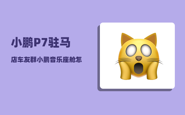 小鹏P7驻马店车友群_小鹏音乐座舱怎么调-图1