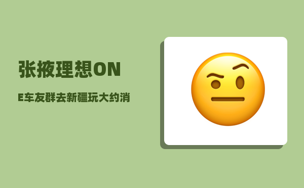 张掖理想ONE车友群_去新疆玩大约消费多钱-图1