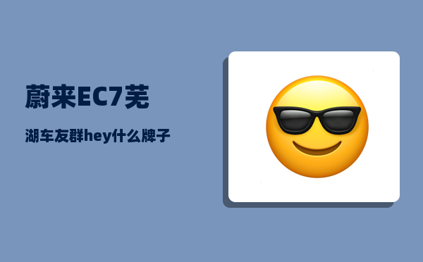 蔚来EC7芜湖车友群_hey什么牌子的车-图1