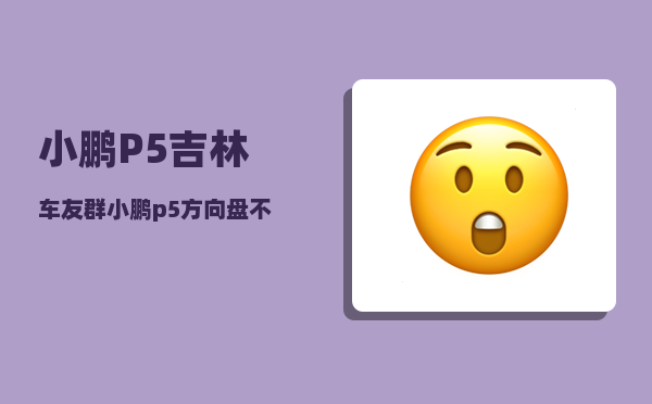 小鹏P5吉林车友群_小鹏p5方向盘不能前后调节吗-图1