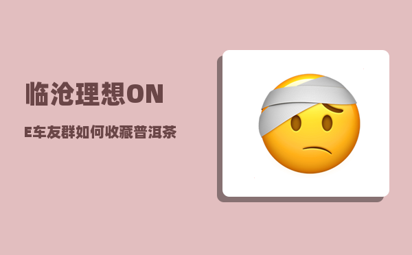 临沧理想ONE车友群_如何收藏普洱茶-图1