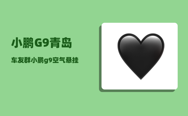 小鹏G9青岛车友群_小鹏g9空气悬挂全系标配吗-图1