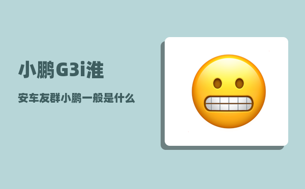小鹏G3i淮安车友群_小鹏一般是什么人买-图1