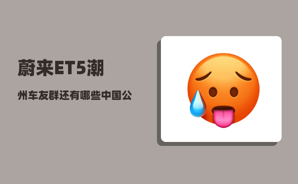 蔚来ET5潮州车友群_还有哪些中国公司在争霸全球-图1