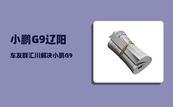 小鹏G9辽阳车友群_汇川解决小鹏G9电机啸叫-图1