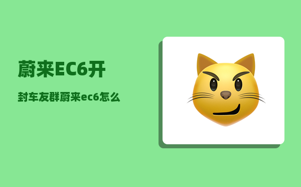 蔚来EC6开封车友群_蔚来ec6怎么在车里关闭电源-图1