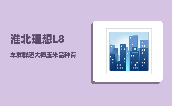 淮北理想L8车友群_超大棒玉米品种有哪些-图1