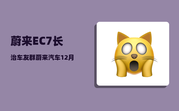 蔚来EC7长治车友群_蔚来汽车12月销量-图1