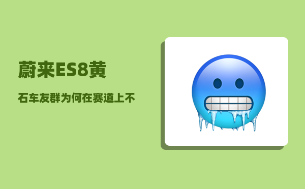 蔚来ES8黄石车友群_为何在赛道上不如ES8这类中大型SUV-图1