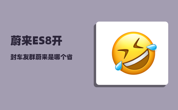 蔚来ES8开封车友群_蔚来是哪个省-图1