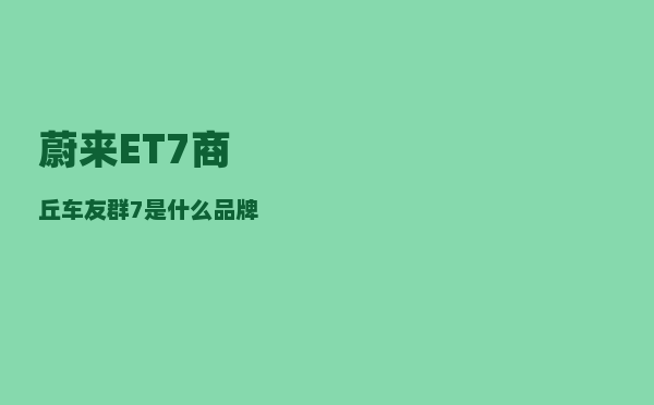 蔚来ET7商丘车友群_7是什么品牌-图1