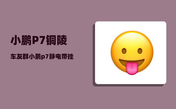 小鹏P7铜陵车友群_小鹏p7静电带挂哪儿-图1