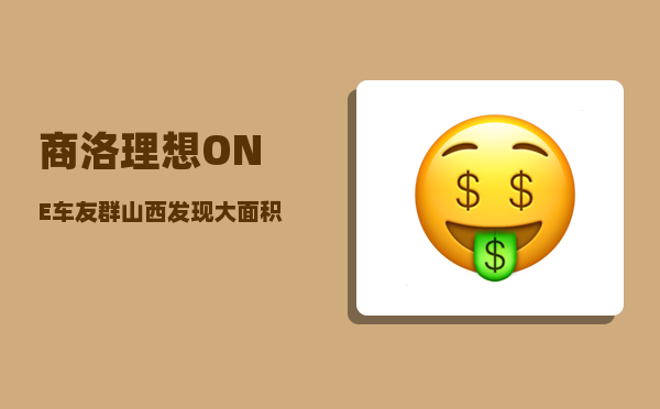 商洛理想ONE车友群_山西发现大面积金矿-图1