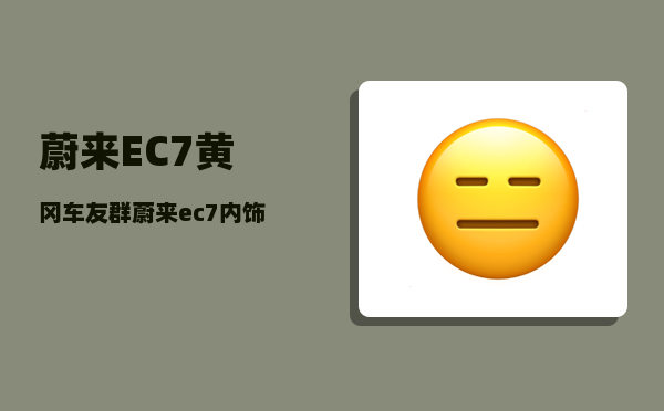 蔚来EC7黄冈车友群_蔚来ec7内饰颜色推荐-图1