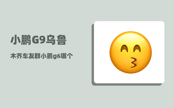 小鹏G9乌鲁木齐车友群_小鹏g6哪个颜色质量较优-图1