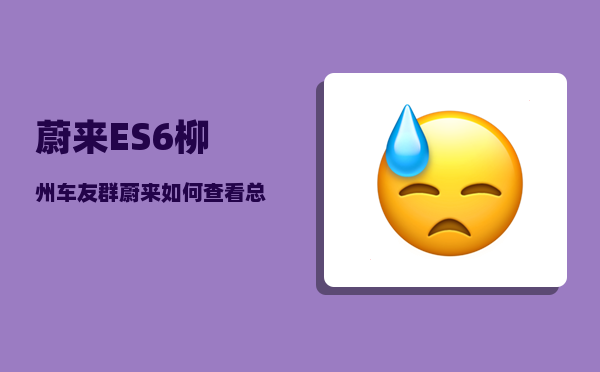 蔚来ES6柳州车友群_蔚来如何查看总公里数-图1