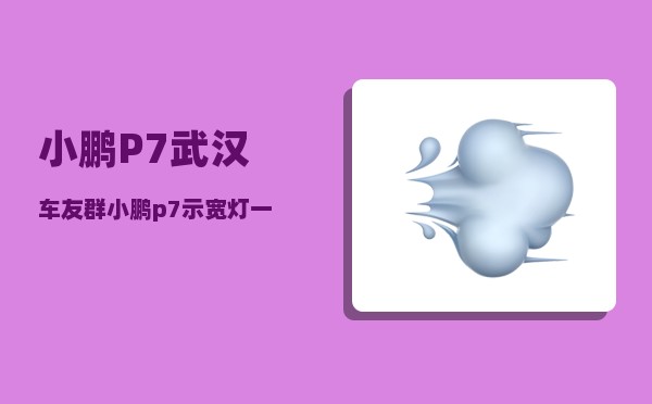 小鹏P7武汉车友群_小鹏p7示宽灯一直开着-图1