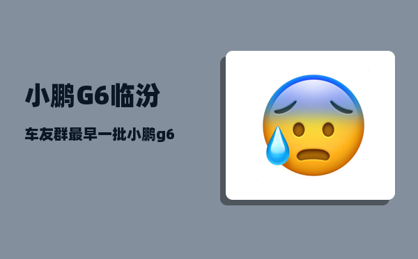 小鹏G6临汾车友群_最早一批小鹏g6什么时间交付-图1
