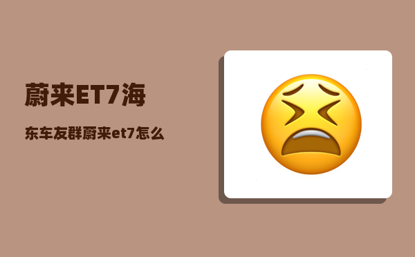 蔚来ET7海东车友群_蔚来et7怎么起步-图1