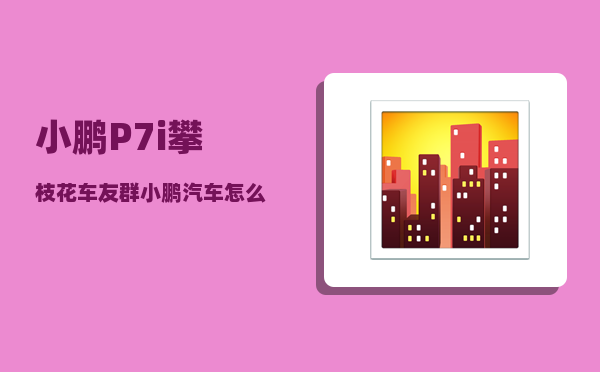 小鹏P7i攀枝花车友群_小鹏汽车怎么样-图1