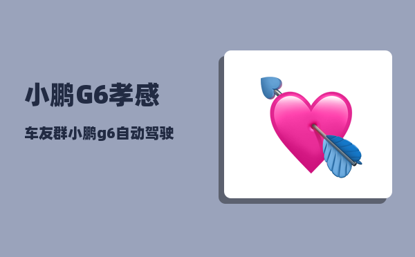 小鹏G6孝感车友群_小鹏g6自动驾驶覆盖的城市-图1