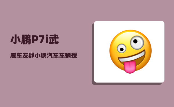 小鹏P7i武威车友群_小鹏汽车车辆授权多个手机怎么绑定-图1