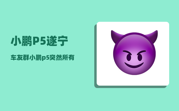 小鹏P5遂宁车友群_小鹏p5突然所有故障灯亮起来怎么办-图1