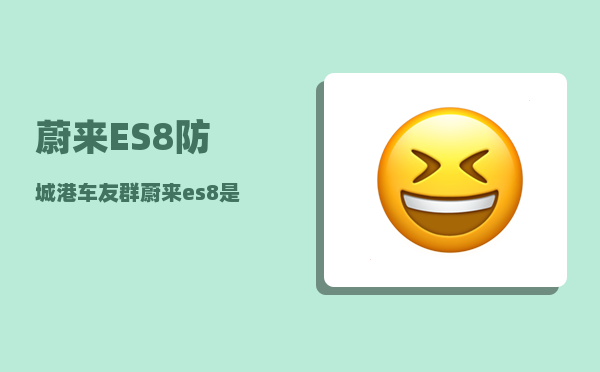 蔚来ES8防城港车友群_蔚来es8是油电混合吗-图1