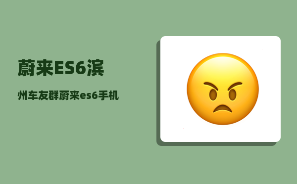 蔚来ES6滨州车友群_蔚来es6手机操控有哪些功能-图1