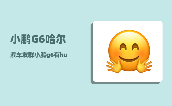 小鹏G6哈尔滨车友群_小鹏g6有hud吗-图1