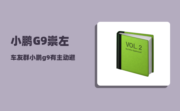 小鹏G9崇左车友群_小鹏g9有主动避让吗-图1