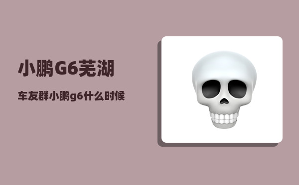 小鹏G6芜湖车友群_小鹏g6什么时候交付-图1