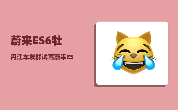 蔚来ES6牡丹江车友群_试驾蔚来ES6跟威马W6感觉差不多啊-图1