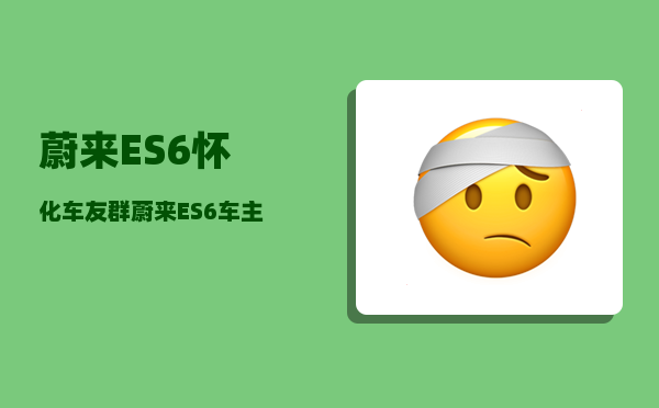 蔚来ES6怀化车友群_蔚来ES6车主开车需要带钥匙吗-图1