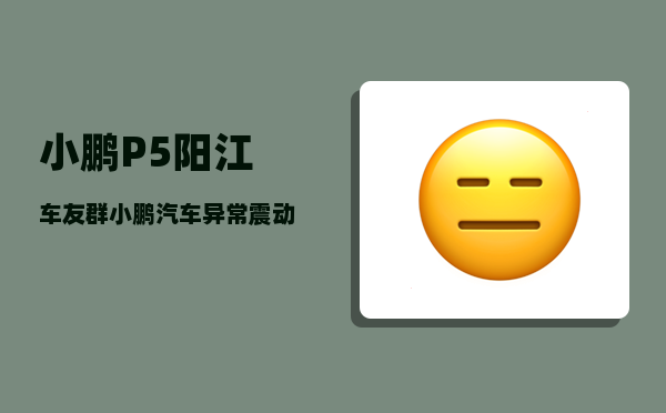 小鹏P5阳江车友群_小鹏汽车异常震动-图1