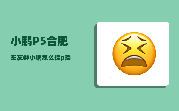 小鹏P5合肥车友群_小鹏怎么挂p挡-图1
