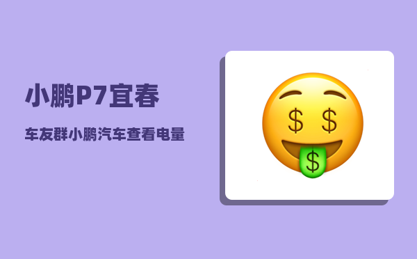 小鹏P7宜春车友群_小鹏汽车查看电量百分比-图1