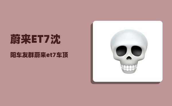 蔚来ET7沈阳车友群_蔚来et7车顶的摄像头干什么用-图1