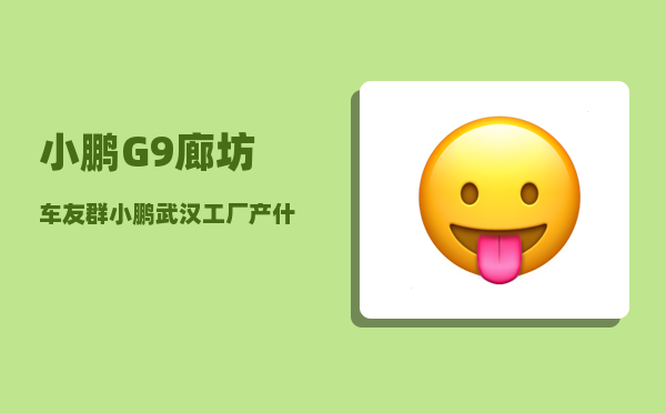 小鹏G9廊坊车友群_小鹏武汉工厂产什么车-图1
