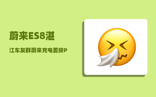 蔚来ES8湛江车友群_蔚来充电要按P档吗-图1