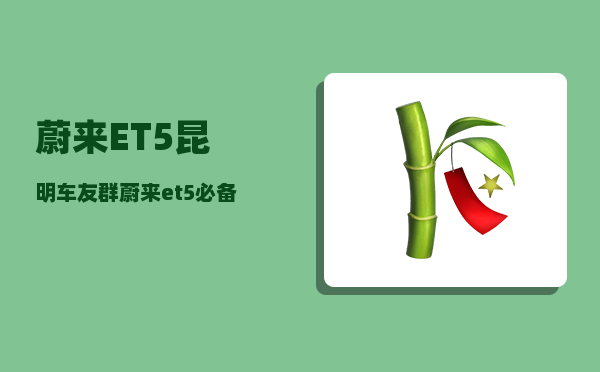 蔚来ET5昆明车友群_蔚来et5必备用品-图1