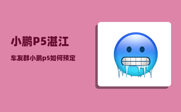 小鹏P5湛江车友群_小鹏p5有行程轨迹吗-图1