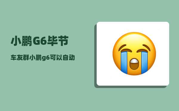 小鹏G6毕节车友群_小鹏g6可以自动召唤到身边吗-图1