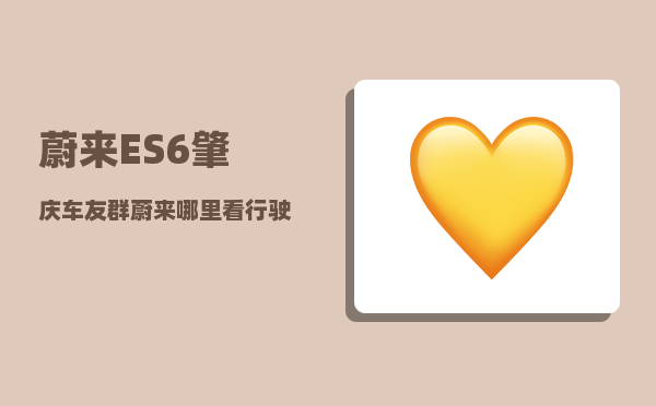 蔚来ES6肇庆车友群_蔚来哪里看行驶公里数-图1