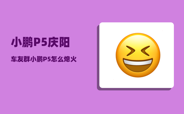 小鹏P5庆阳车友群_小鹏P5怎么熄火-图1