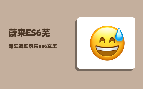 蔚来ES6芜湖车友群_蔚来es6女王座驾有必要吗-图1