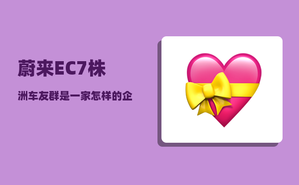 蔚来EC7株洲车友群_是一家怎样的企业-图1